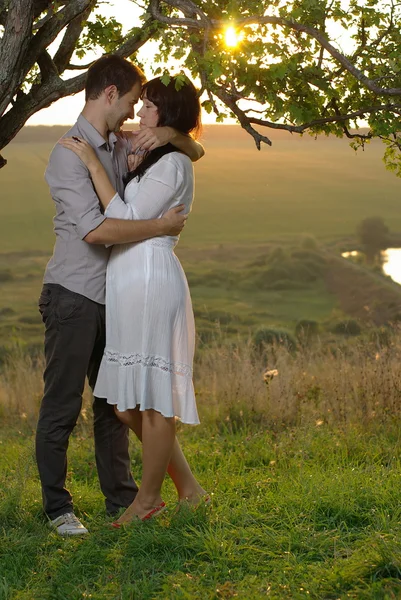 Dwa zakochani całują się pod drzewem na pole — Zdjęcie stockowe