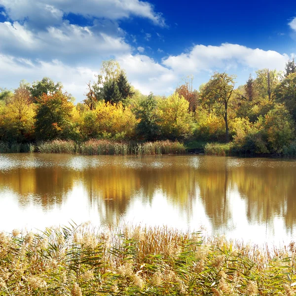 Lago, madeira de outono e o céu azul — Fotografia de Stock