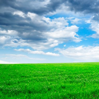 bir çim kaplı alan