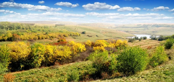 Legno d'autunno — Foto Stock