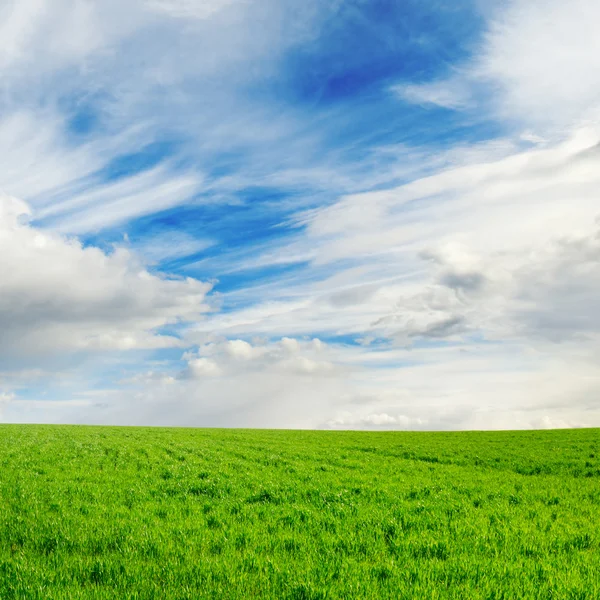 Veld en de hemel — Stockfoto