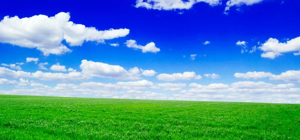 Feld auf einem Hintergrund des blauen Himmels — Stockfoto