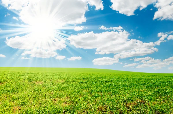 Field and sun — Stock Photo, Image