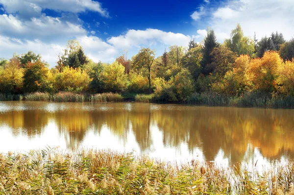 Lake, autumn wood and the blue sky — Stock Photo, Image