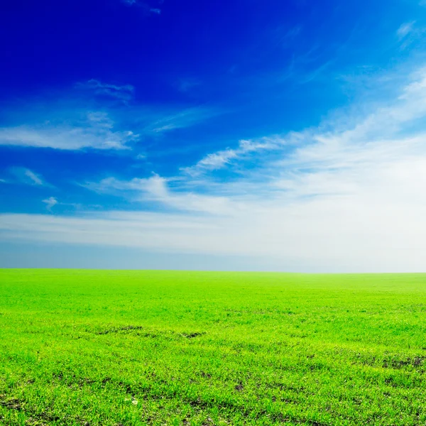 Feld vor dem Hintergrund des blauen Himmels und der weißen Wolken — Stockfoto