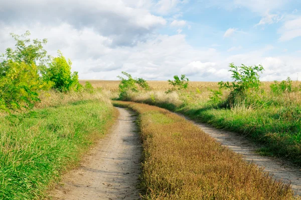 Una strada nel campo — Foto Stock