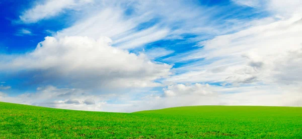 Campo di primavera — Foto Stock