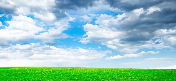 Campo di primavera — Foto Stock