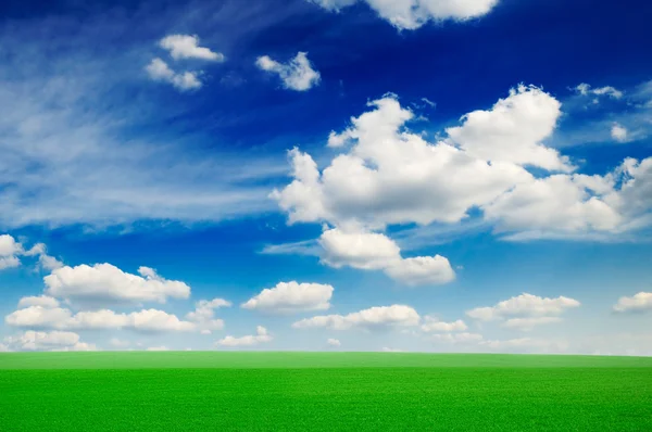 Campo e cielo — Foto Stock