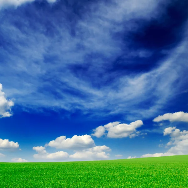 Campo e céu — Fotografia de Stock