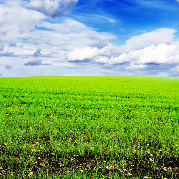 Vårfält — Stockfoto