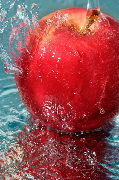 Pomme rouge — Photo