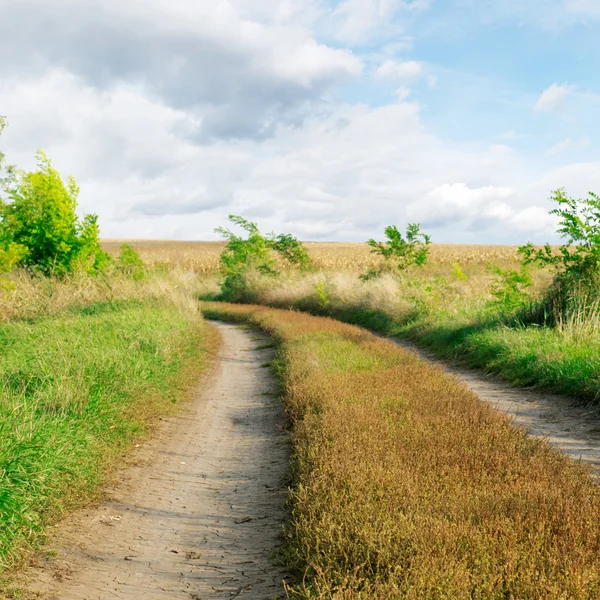 Tarlada yol — Stok fotoğraf