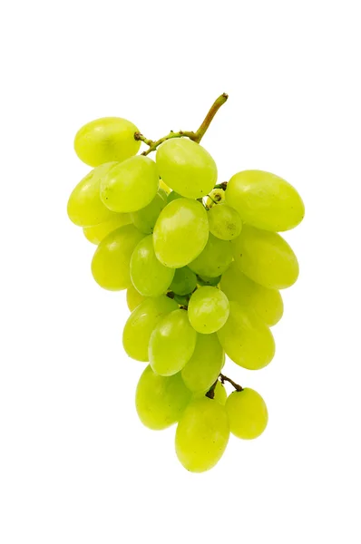 Uvas —  Fotos de Stock