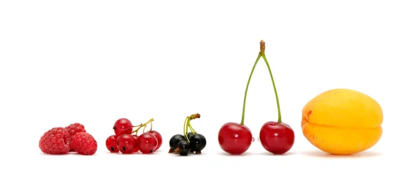 Fruits isolated on a white background — Stock Photo, Image