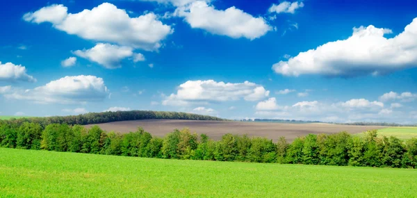 Campo — Foto de Stock