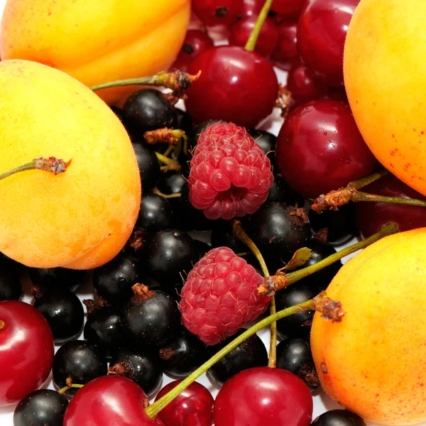 Fruits — Stock Photo, Image