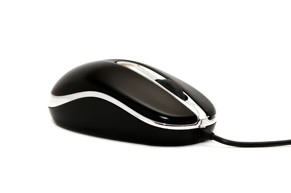 Computer mouse — Stock Photo, Image