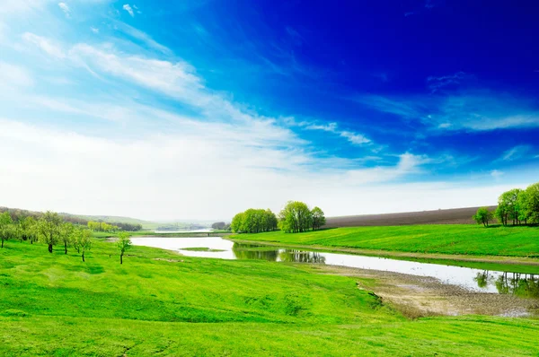 Lake, green grass, blue sky — Stock Photo, Image