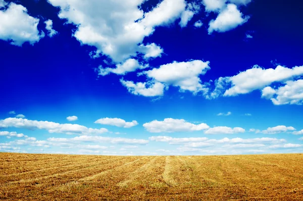 Campo autunnale — Foto Stock