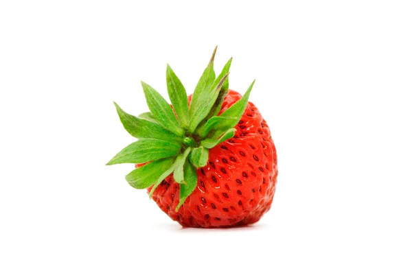 Fragola — Foto Stock