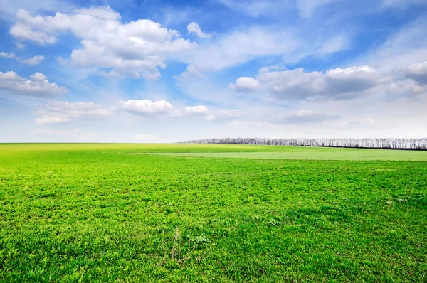 Paesaggio — Foto Stock