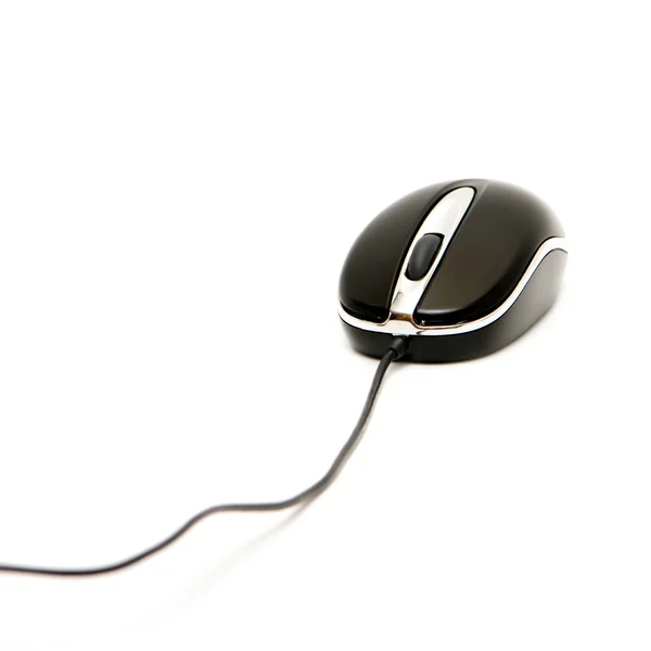 Computer mouse — Stock Photo, Image