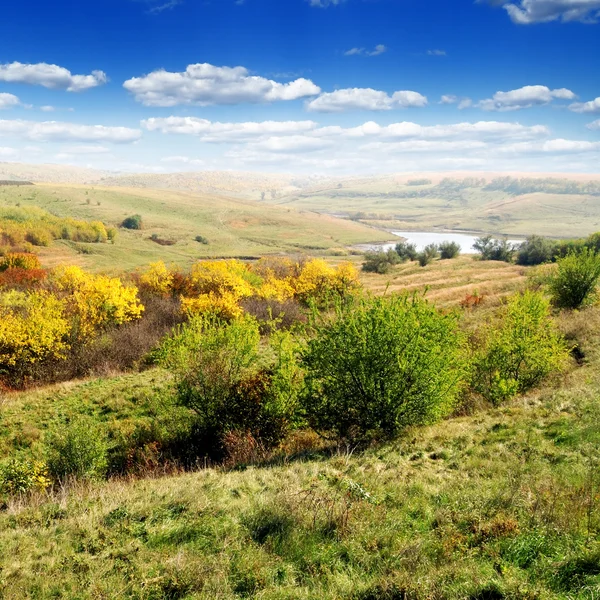 Осінній ліс — стокове фото