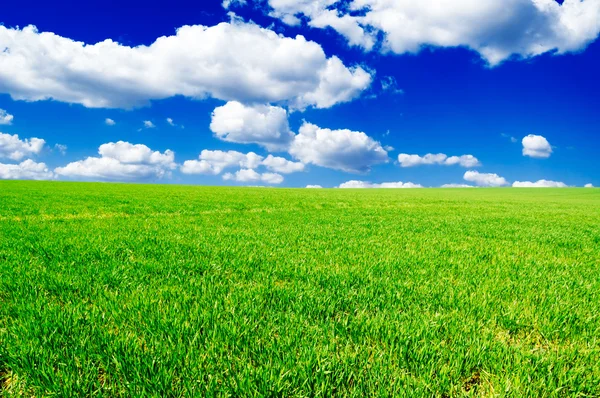 Campo — Fotografia de Stock