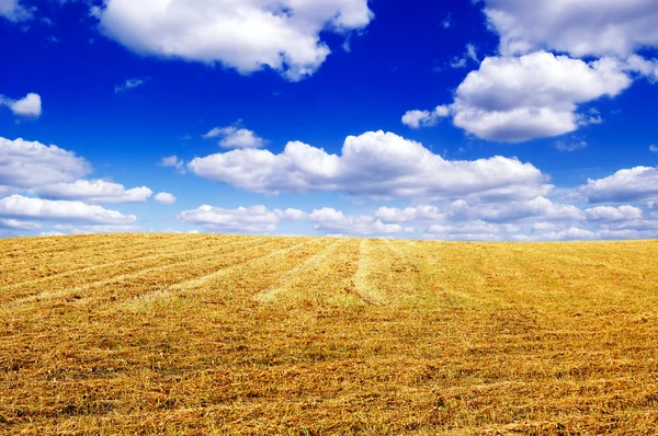 Herfst veld — Stockfoto