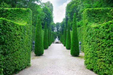 park'ın güzel sokakta