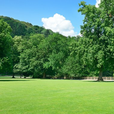 Parktaki güzel çayır