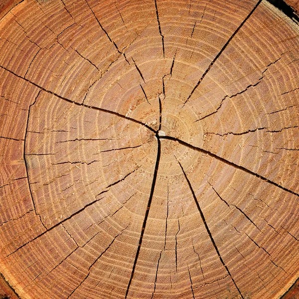 Holz Textur Hintergrund — Stockfoto
