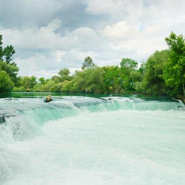Ormanda güzel bir şelale