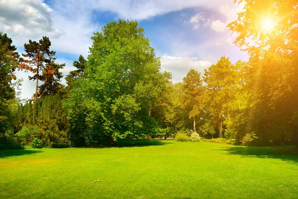 夏の公園と青空の豪華な緑の牧草地 — ストック写真
