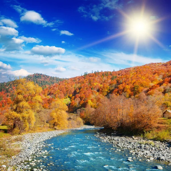 Bright Autumn Landscape Mountain River Valley Bright Sun — Stock Photo, Image