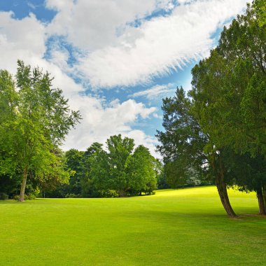Güzel yaz parkında büyük bir golf sahası