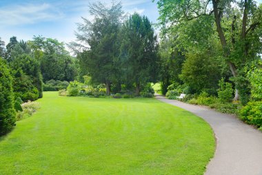Çayırdaki yeşil çimenler ve resimli yaz parkındaki patika..