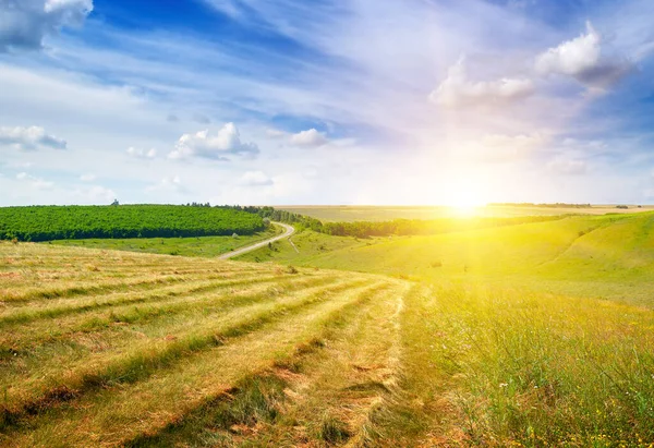 Magnífico Amanecer Brillante Sobre Campo Cultivo — Foto de Stock