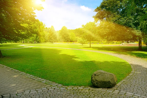 Helle Sonnenstrahlen Über Einer Schönen Wiese Mit Grünem Gras Und — Stockfoto