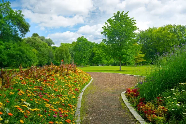 Vacker Äng Med Blommor Och Stig Stadens Offentliga Park — Stockfoto