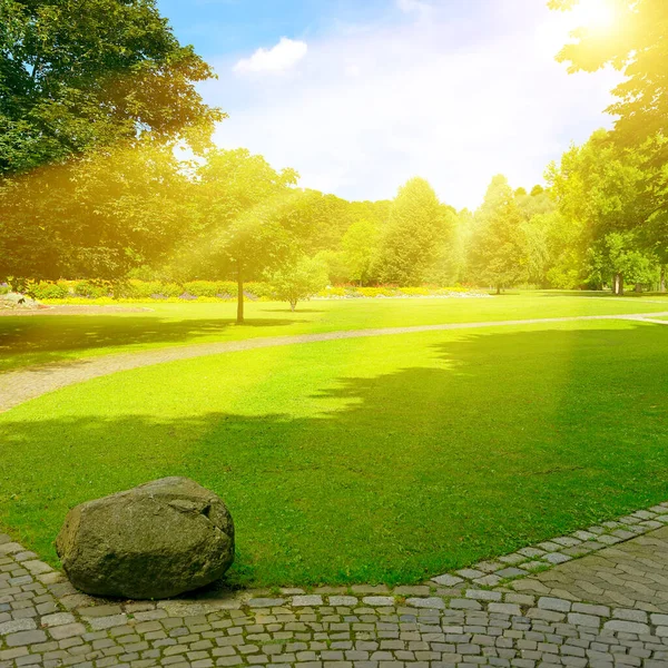 Heldere Zonnestralen Prachtige Weide Met Groen Gras Wandelpaden Het Park — Stockfoto