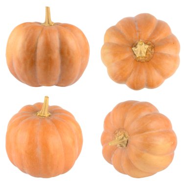 Beyaz arkaplanda izole edilmiş taze büyük balkabağı koleksiyonu.