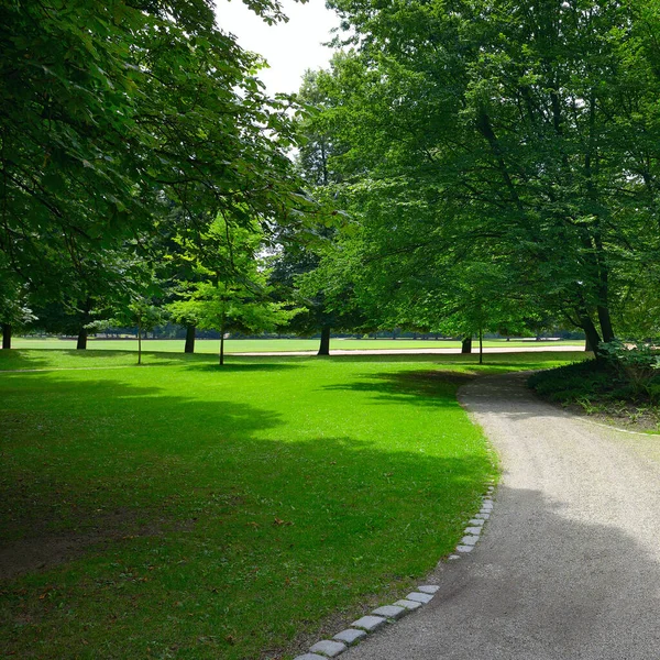 Gravel Path Sports Walking Beautiful Summer Park — Zdjęcie stockowe