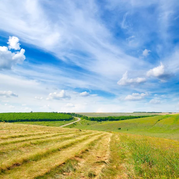 Scenic Landscape Large Farm Field — Foto de Stock