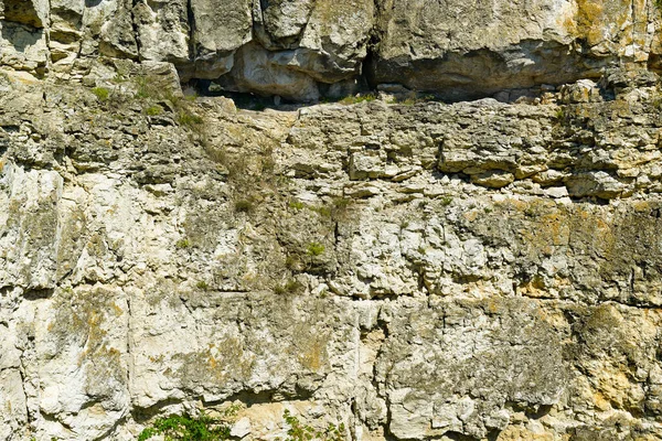 Geologische Sectie Van Oude Afzettingen Van Schelpgesteente — Stockfoto