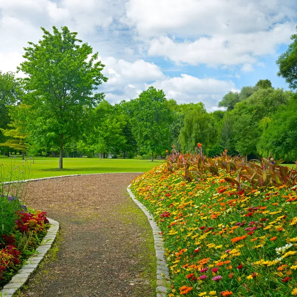 Mooie Weide Met Bloemen Pad Openbaar Park — Stockfoto