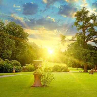 Güzel yaz parkında parlak gün doğumu