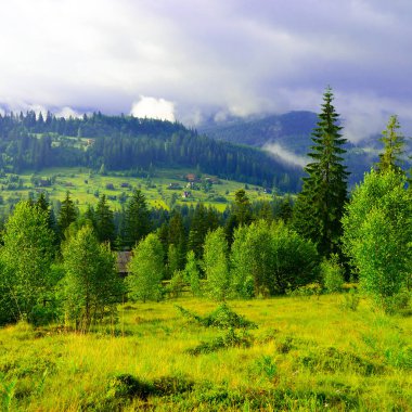 Resimli dağ vadisi ormanla kaplı ve arka planda yoğun sis var..