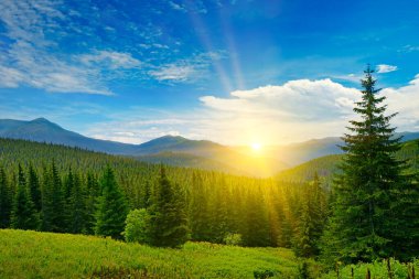 Güzel yüksek dağların arka planında resim gibi gün doğumu